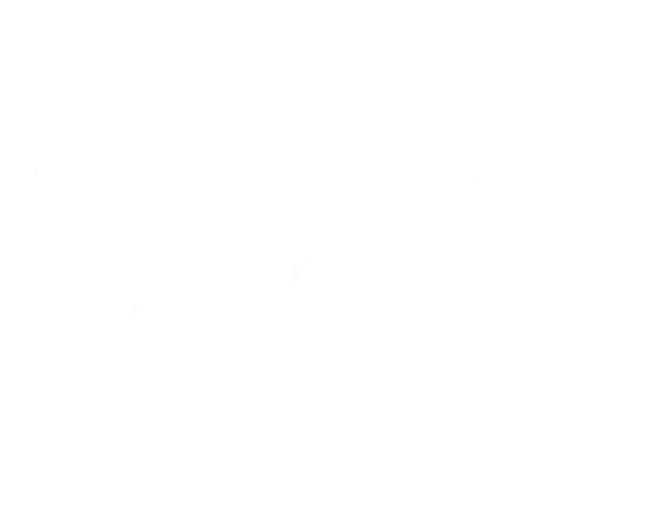 Shrimpers Grill and Raw Bar